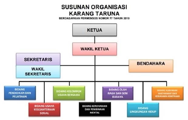 Bagan Struktur Organisasi Karang Taruna