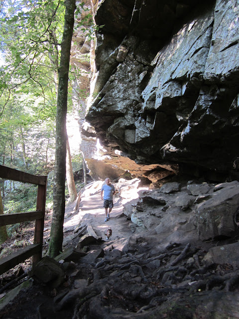 FALL CREEK FALLS TRAIL