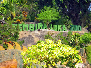 gembira loka zoo yogyakarta