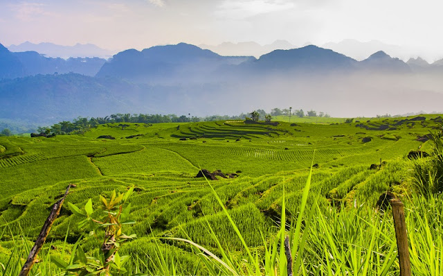 Pu Luong Trekking From Mai Chau