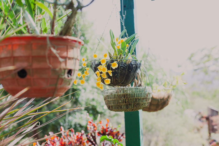 hanging pot