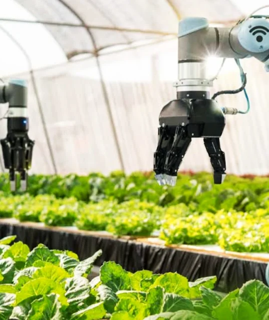 Key Players in Japan's Agritech Industry