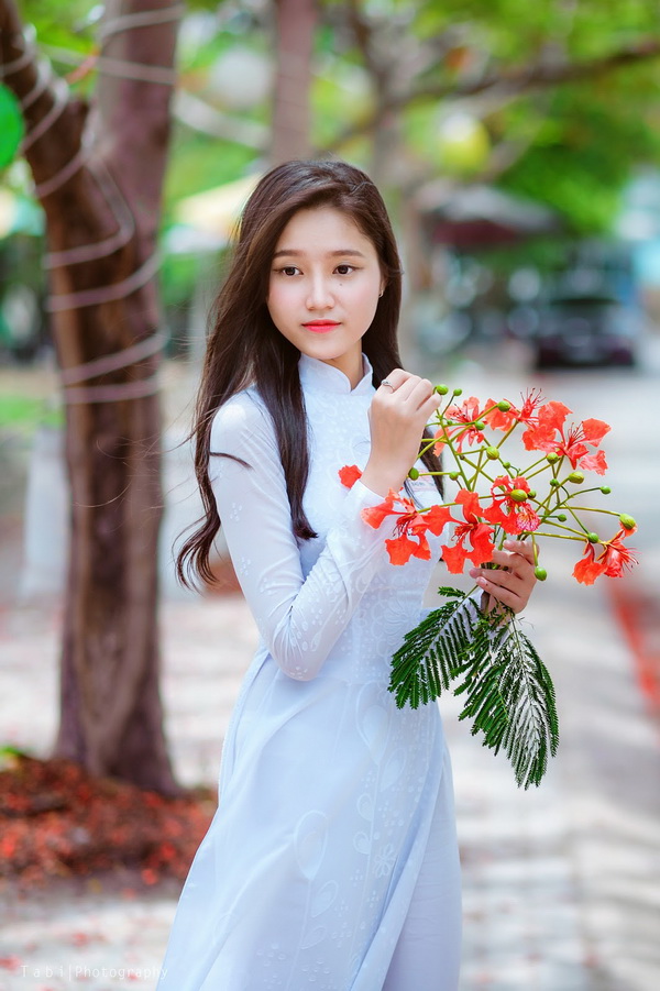 Thiếu nữ áo dài trắng, hoa phượng