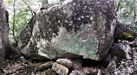 Up close to a large gray stone in natural surroundings