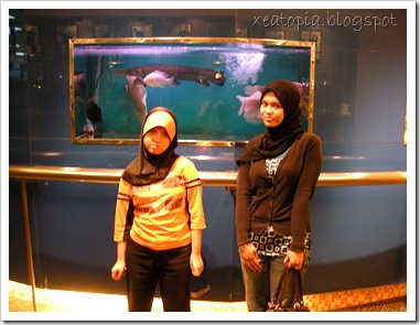 yeay 015