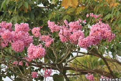 Canon500D_風景風格640