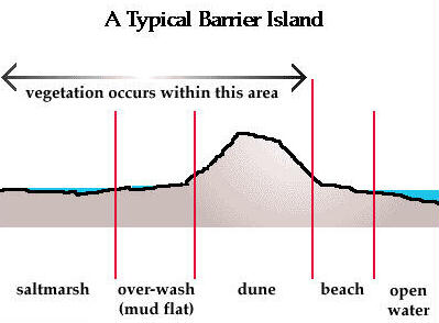 Barrier Islands4