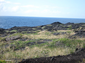 coast of Hawaii