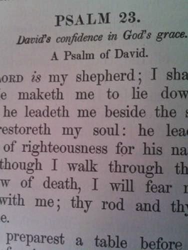 Power Of The Psalms And Other Bible Verses