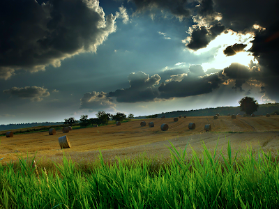 storm wallpaper. Wheat Field Storm wallpaper,