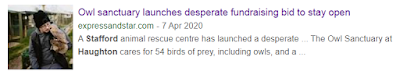 https://www.expressandstar.com/news/environment/2020/04/08/owl-sanctuary-launches-desperate-fundraising-bid-to-stay-open/