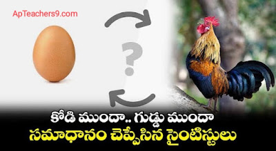 which is first...egg or chicken?