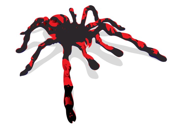 Ai Eps イラストレーター 赤と黒の蜘蛛のイラスト Red And Black Tarantula Spider Vector