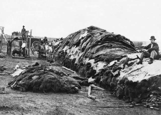 Antiguas fotografías de la vida en Estados Unidos durante el siglo XIX