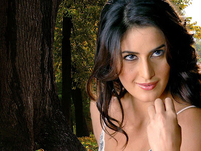 Katrina Kaif Best HD Wallpaper 2012