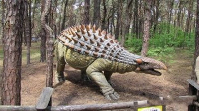 Dinosaur Park Poland Cool Images & Videos