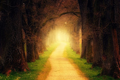 Light on the Path