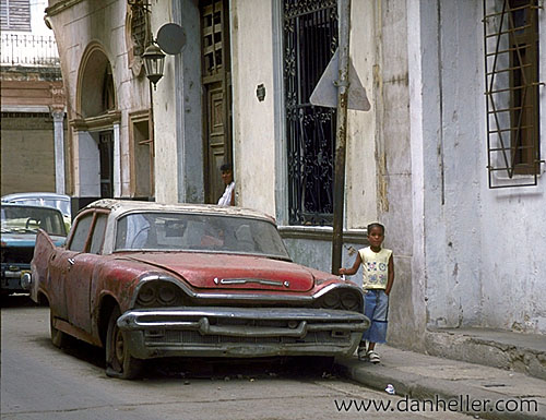 These are all cars of Cuba Some are dead but many are alive and well