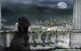 Urdu poetry images