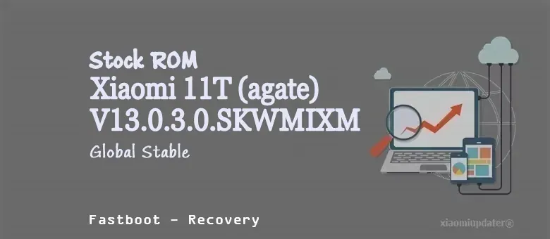 Xiaomi 11T (agate) V13.0.3.0.SKWMIXM Global Stable