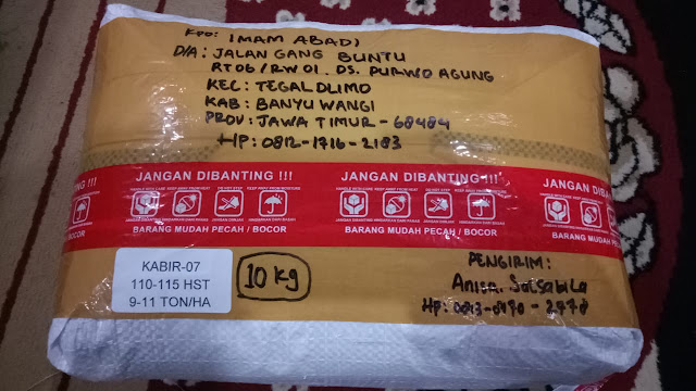 Testimoni Pengiriman Benih Padi Kabir 07 - 115 Hari @10kg ke Banyuwangi