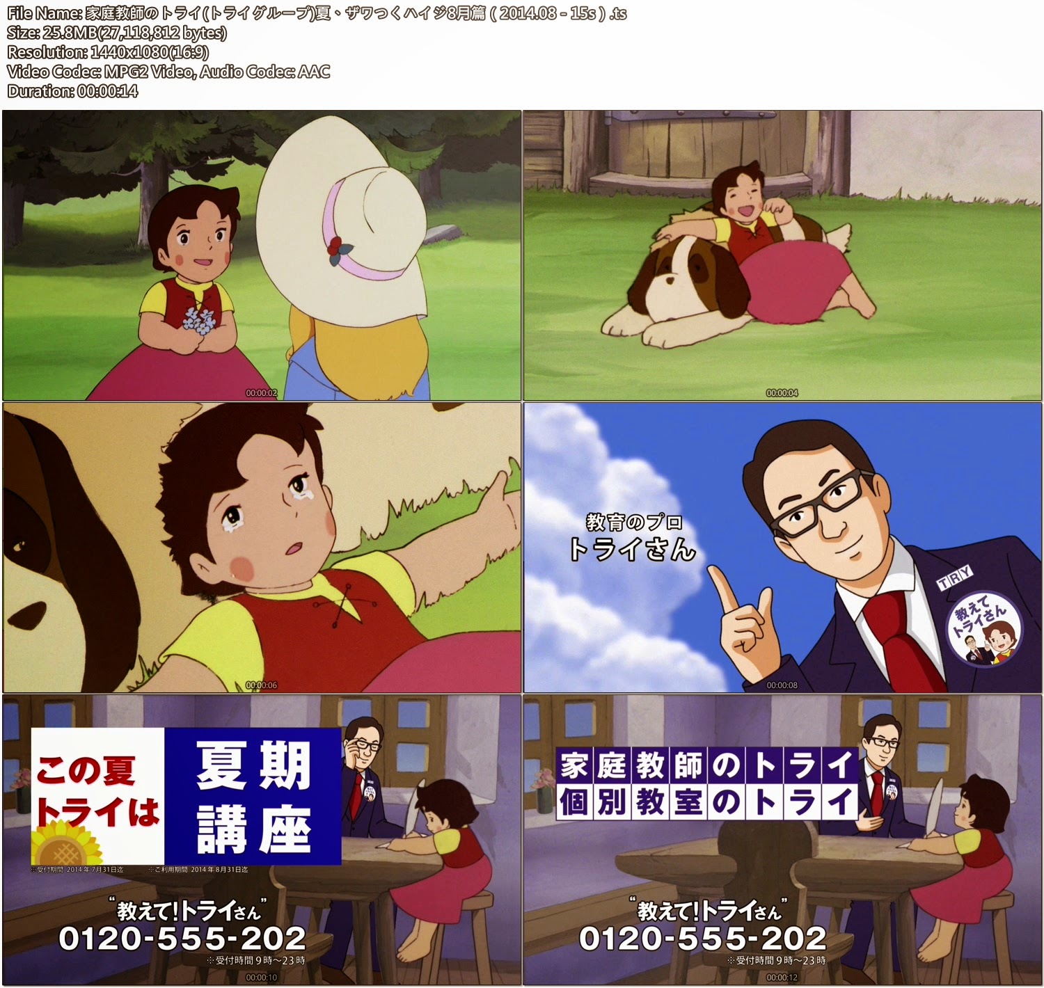Tvcm Cut 家庭教師のトライ トライグループ 夏 ザワつくハイジ8月篇 14 08 15s