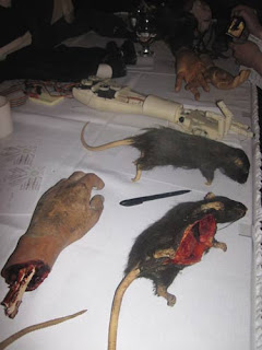 Hands & Rats.