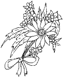 Flowers Drawings