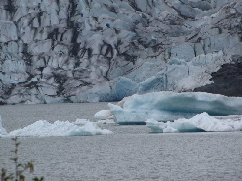 mendenhall glacier from cruise port