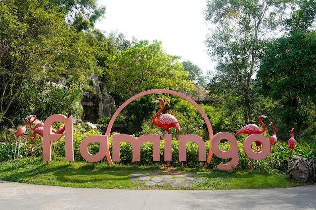 【富國島】觀光．越南最大野生動物園，近距離接觸動物｜Vinp