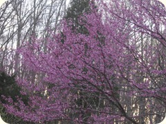 misc 001