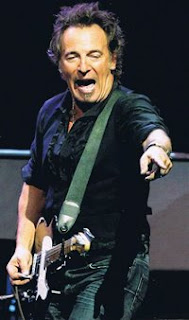 bruce springsteen guitar hero