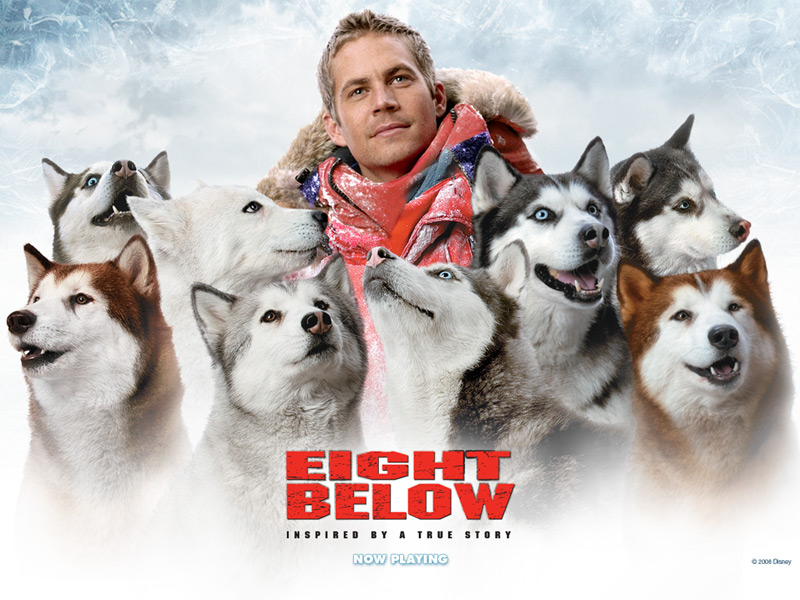 Paul Walker 8 Below