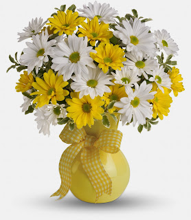 The Yellow & White Daisy bouquet from bloomex.ca