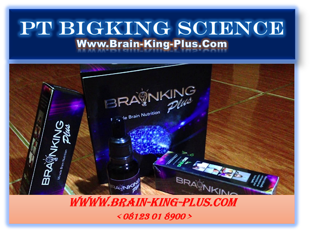 http://www.brain-king-plus.com/