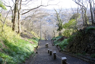 DSC 0283