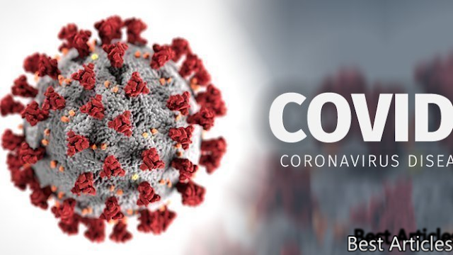 Corona Virus Report In Sindh In Pakistan