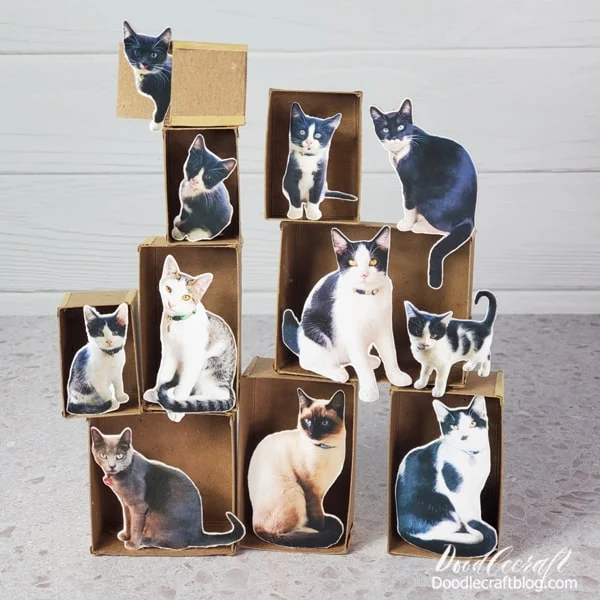 How to Make Miniature Cats in Boxes  Cats love boxes!   See how easy it is to make a little miniature version of your cat in a box.   It's the perfect handmade gift for a cat lover, ornament for the Christmas tree, or miniature display on the shelf.