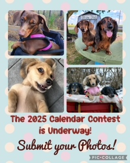 AADR Calendar Contest