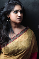 hot vanitha vijayakumar saree latest photos