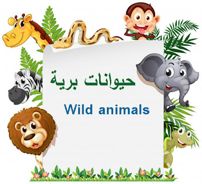 حيوانات برية باللغة الانجليزية Wild animals in English