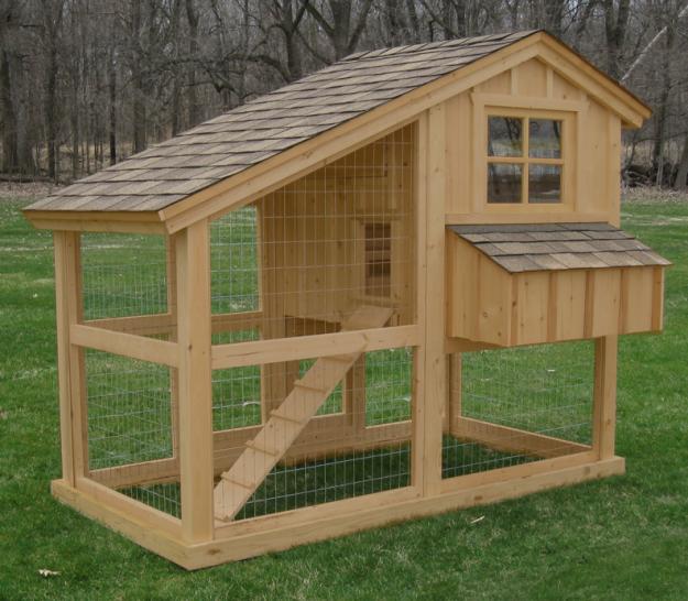 ... to ensure that the coops are comfortable and secure for the chickens