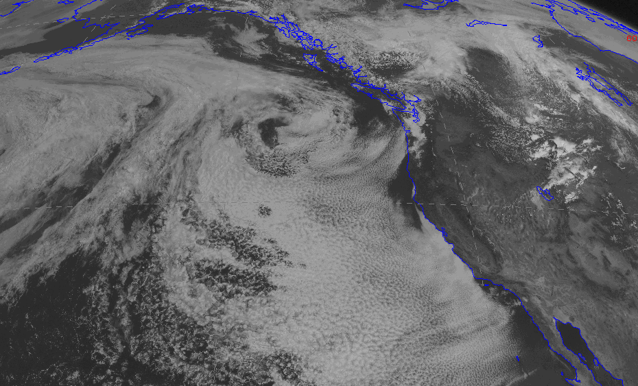 Cliff Mass Weather Blog: June Gloom: Why does it occur and where is it this  year?