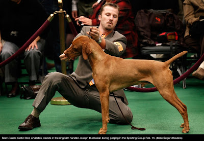 135th Westminster Kennel Club Dog Show at Madison Square Garden in New York City