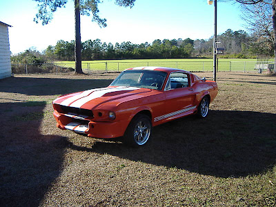 1967 Mustang Fastback Eleanor Project 