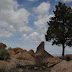 PERALTA CANYON to the LONE PINE