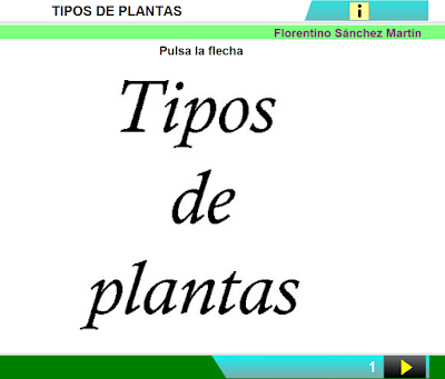 http://cplosangeles.juntaextremadura.net/web/edilim/curso_2/cmedio/plantas02/tipos_plantas02/tipos_plantas02.html