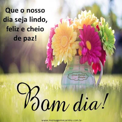 Bom dia!