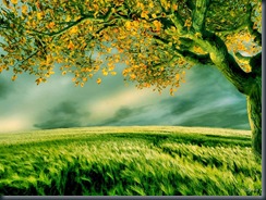 Wallpaper_09