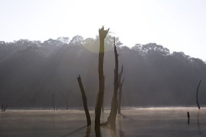 [Image: danau_periyar.jpg]